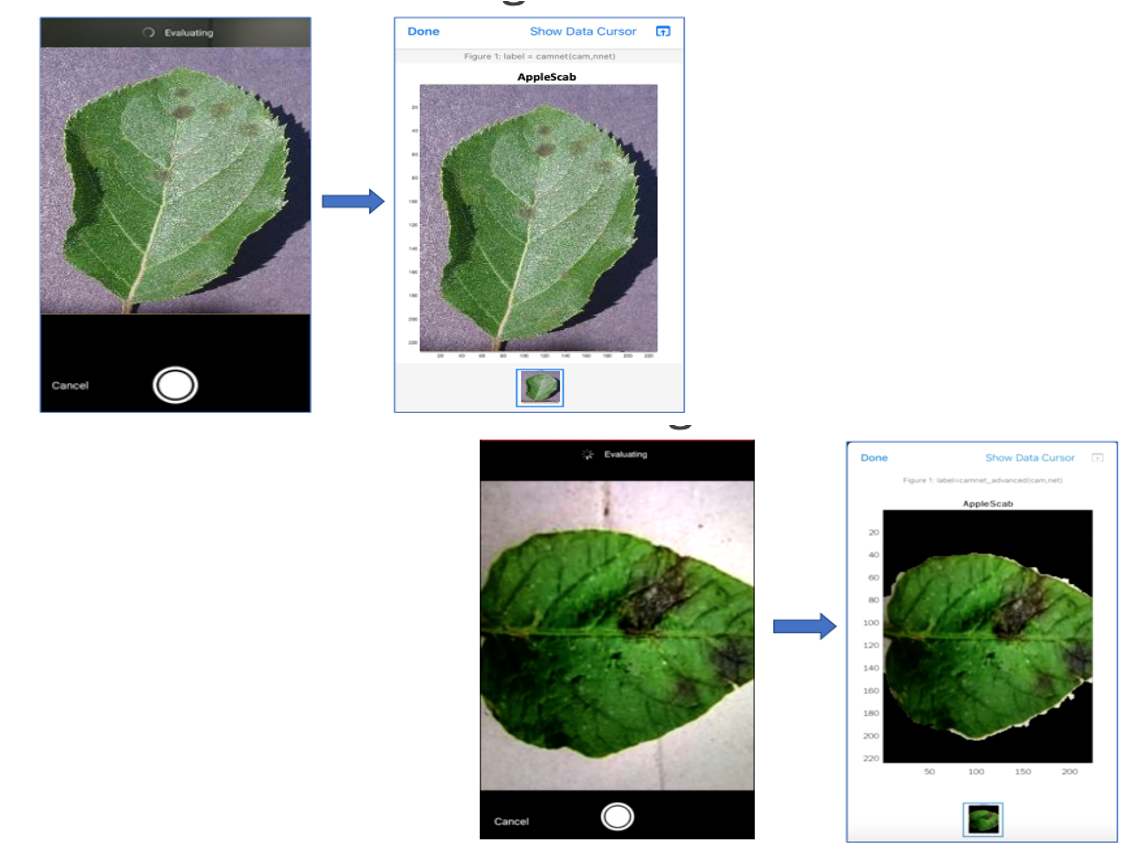 Plant Disease Detector